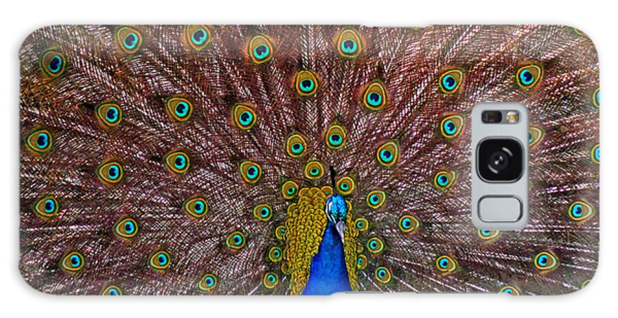 Peacocks Galaxy Case featuring the pyrography Beauty by Elaine Malott