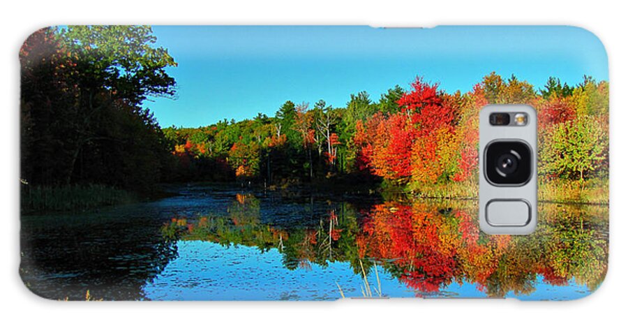 Hdr Galaxy Case featuring the photograph Beaver Pond Foliage by Rockybranch Dreams