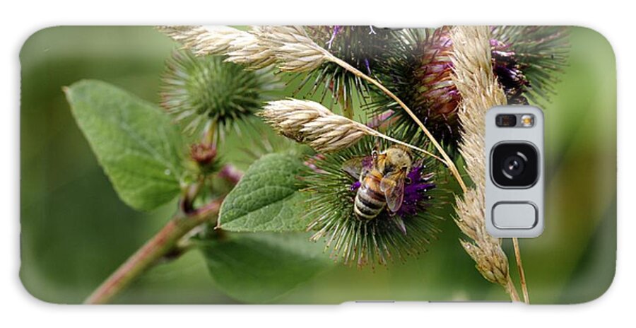 Bee Galaxy Case featuring the photograph Bee 1 by Deborah Ritch