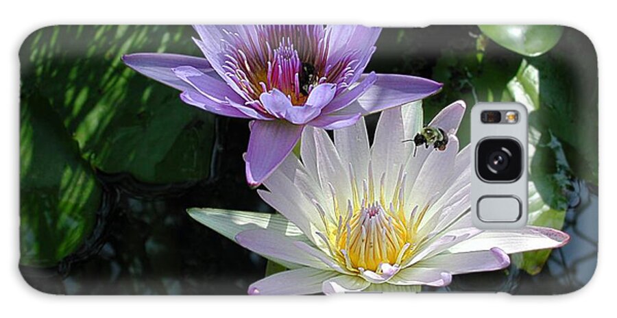 Waterlily Galaxy Case featuring the photograph Bee Lily by Mike Kling