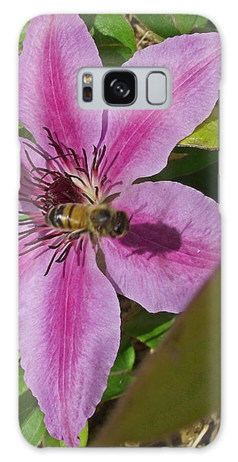 Honey Bee Galaxy S8 Case featuring the photograph Bee My Clematis by Mike and Sharon Mathews