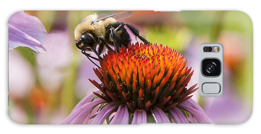 Wisconsin Galaxy Case featuring the photograph Bee on Coneflower by Betty Eich