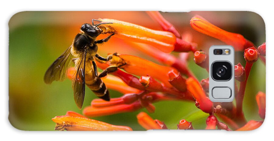 Anthophila Galaxy Case featuring the photograph Bee on firebush flower by SAURAVphoto Online Store
