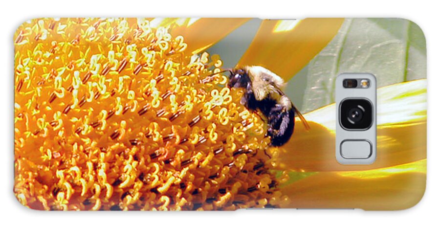 Nature Galaxy Case featuring the photograph Bee on Sunflower by Kay Lovingood