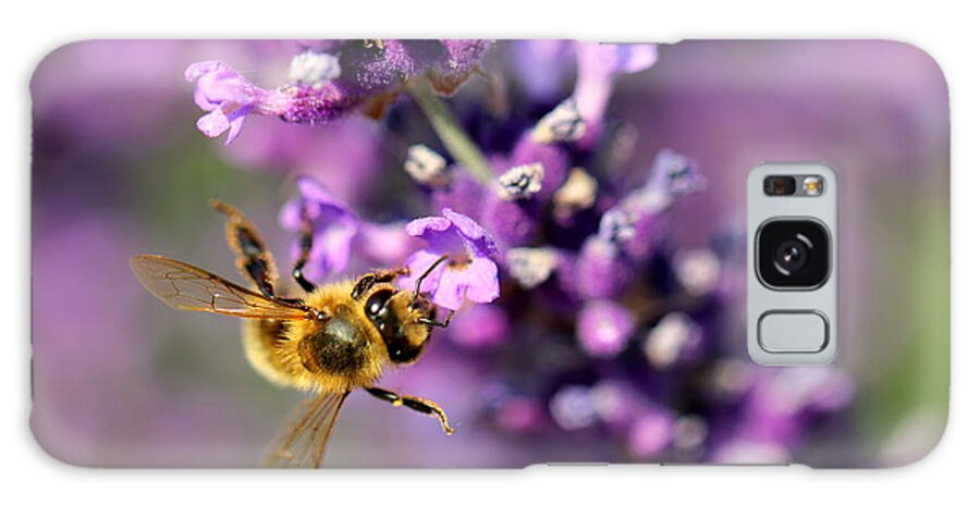 Bee Galaxy Case featuring the photograph Bee on the Lavender Branch by Amanda Mohler