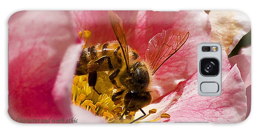 Nature Galaxy Case featuring the photograph Bee Working Hard by Michael Whitaker