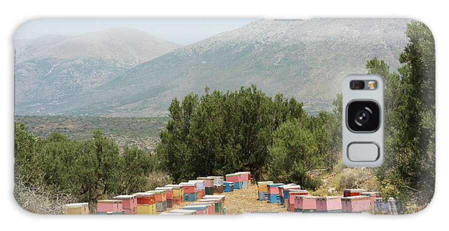 Allotment Galaxy Case featuring the photograph Beehives by David Parker/science Photo Library