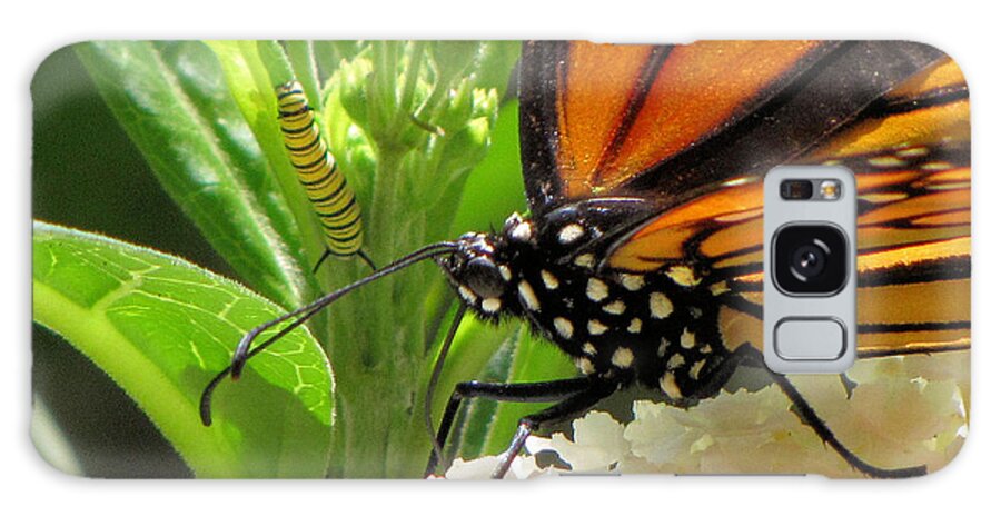 Monarch Galaxy Case featuring the photograph Before and After by KATIE Vigil