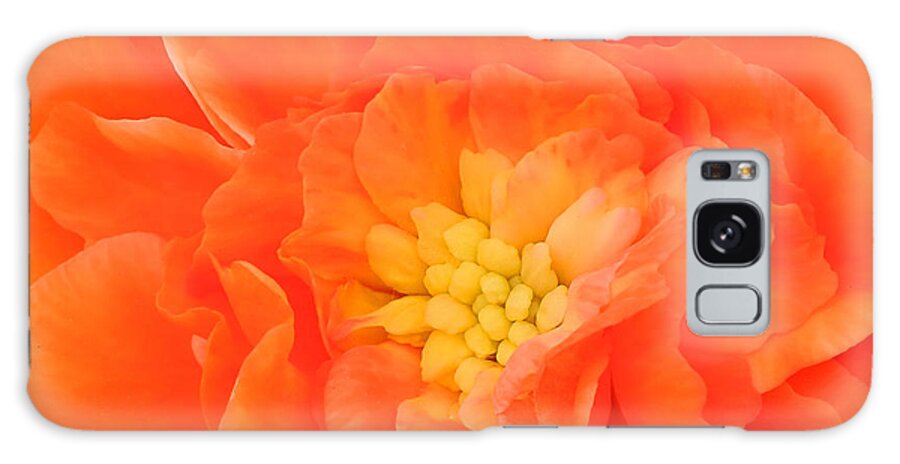 Landscape Galaxy Case featuring the photograph Begonia by Sami Martin