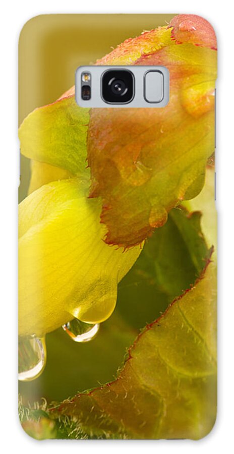 Begonia Galaxy S8 Case featuring the photograph Begonia Raindrops by Diane Fifield