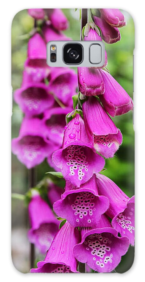 Flowers Galaxy Case featuring the photograph Bells by Mary Underwood