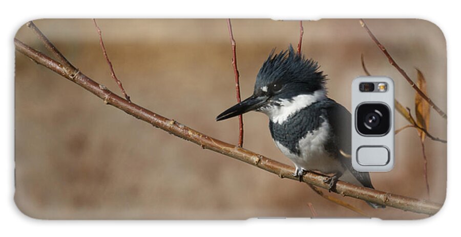Belted Kingfisher Galaxy Case featuring the photograph Belted Kingfisher by Ernest Echols