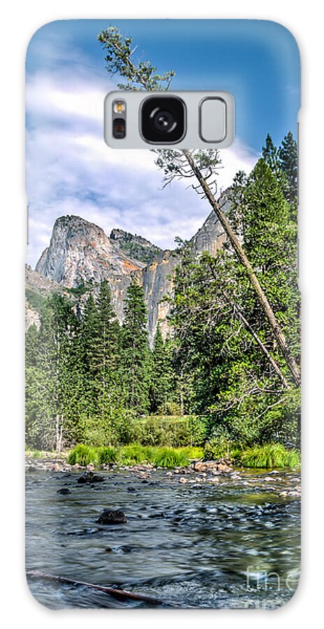 Yosemite Np Galaxy Case featuring the photograph Bent Pine by Daniel Ryan