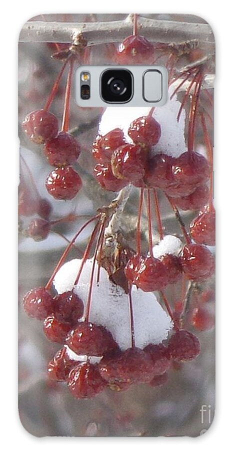 Deciduous Shrub Galaxy S8 Case featuring the photograph Berry Basket by Christina Verdgeline