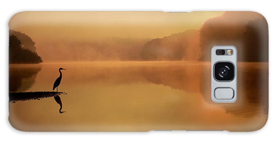 Blue Heron Galaxy Case featuring the photograph Beside Still Waters by Rob Blair