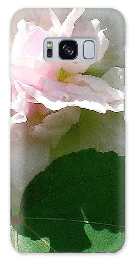 Hawaii Iphone Cases Galaxy Case featuring the photograph China Rose 2 by James Temple