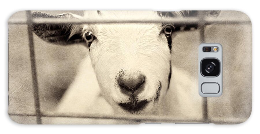 Goat Galaxy Case featuring the photograph Billy G by Amy Tyler