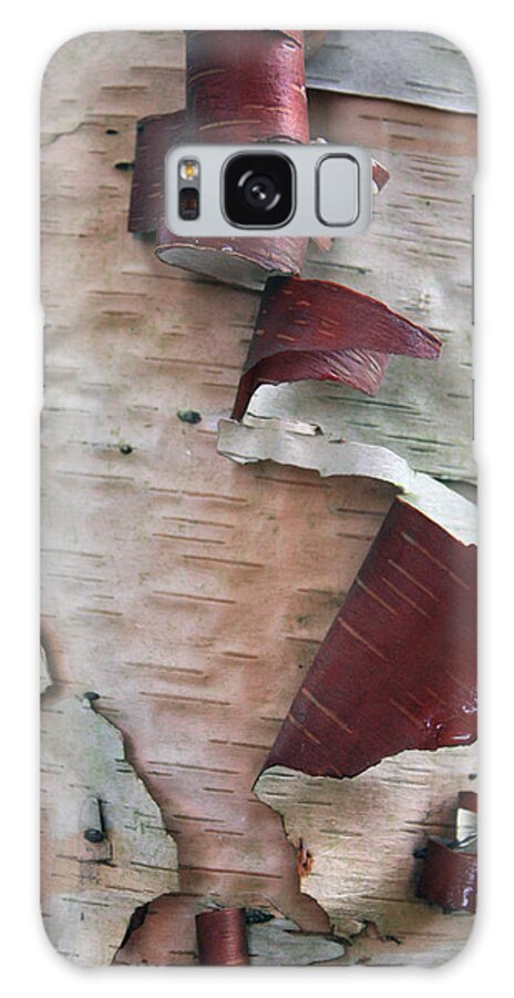 Trees Galaxy Case featuring the photograph Birch Bark by Gerry Bates