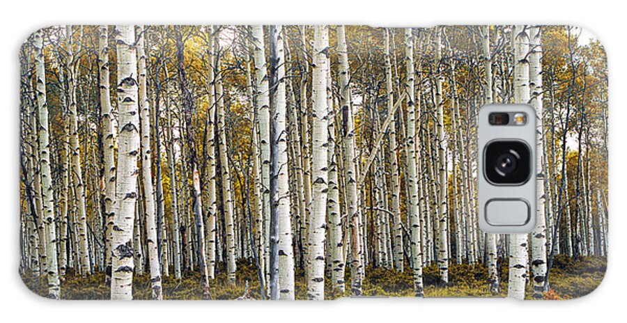 Forest Galaxy S8 Case featuring the photograph Aspen Trees in Autumn by Randall Nyhof