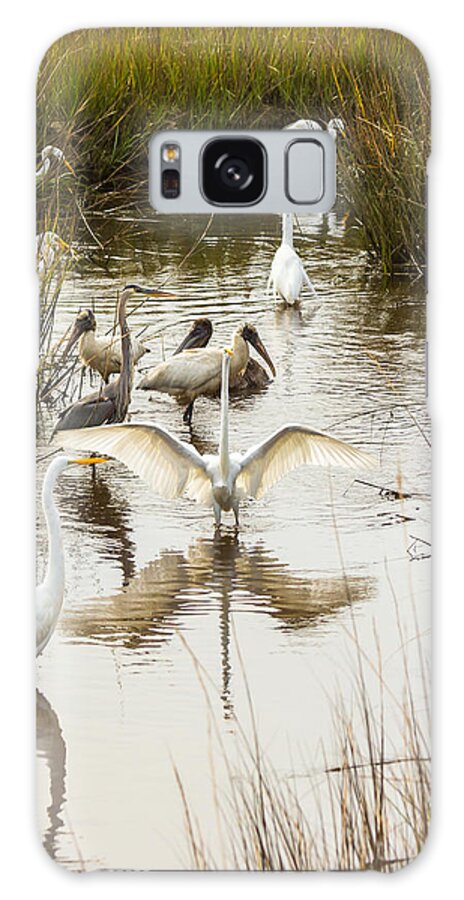 Lowcountry Galaxy Case featuring the photograph Bird Brunch 2 by Patricia Schaefer