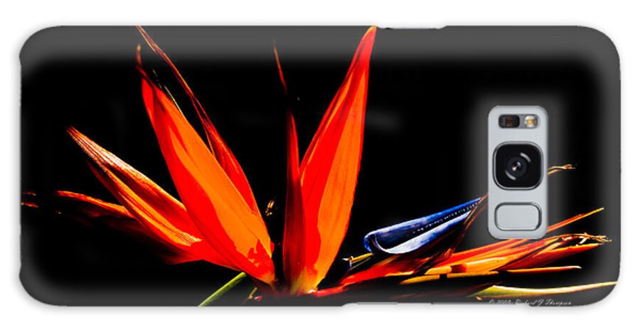 Flora Galaxy Case featuring the photograph Bird Of Paradise by Richard J Thompson 