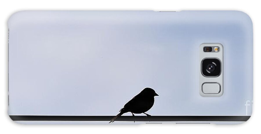English Sparrow Silhouette Galaxy Case featuring the photograph Bird on a Wire by Rae Ann M Garrett