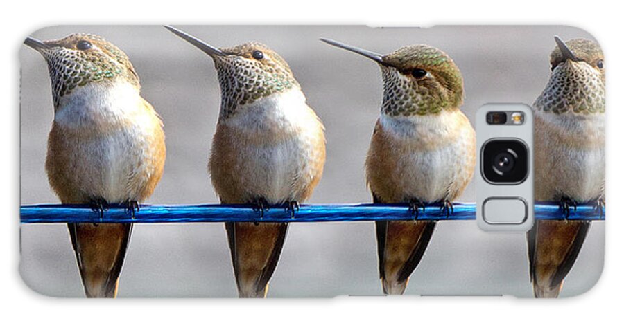 Rufous Hummingbird Galaxy Case featuring the photograph Birds on a Wire by Randy Hall