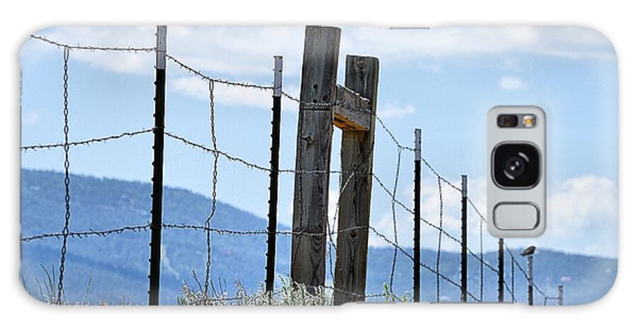 Landscape Galaxy Case featuring the photograph Birds on the Fence by Jacqui Binford-Bell