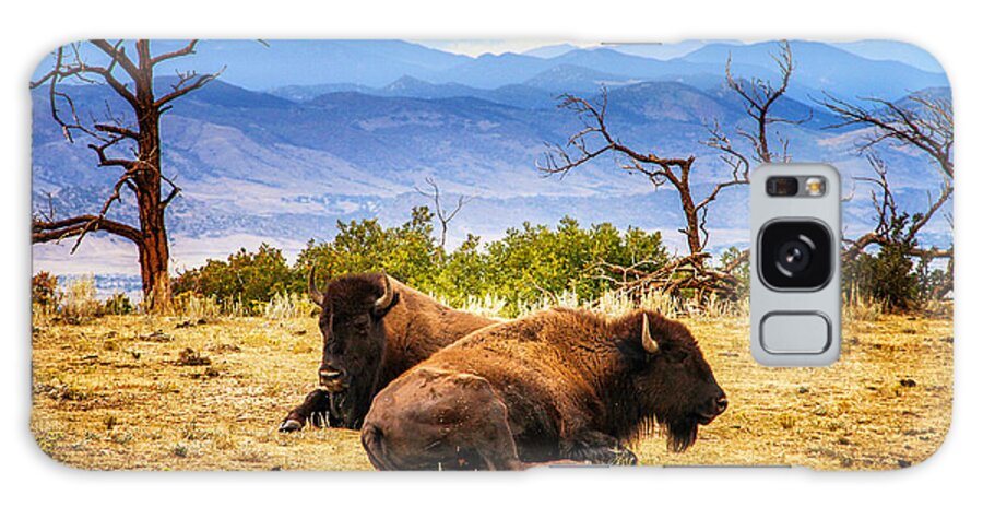 Colorado Galaxy Case featuring the photograph Bison Bison by Juli Ellen
