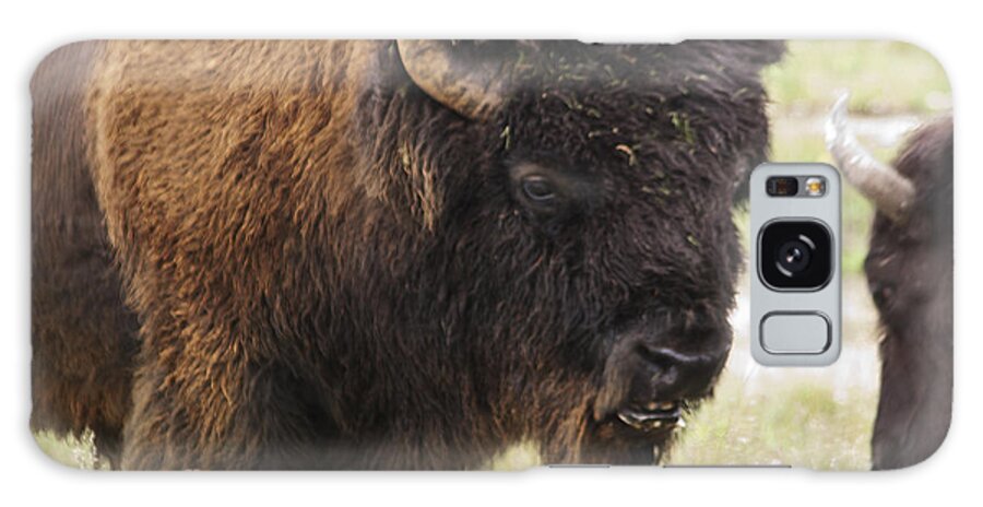 Buffalo Galaxy Case featuring the photograph Bison from Yellowstone by Belinda Greb