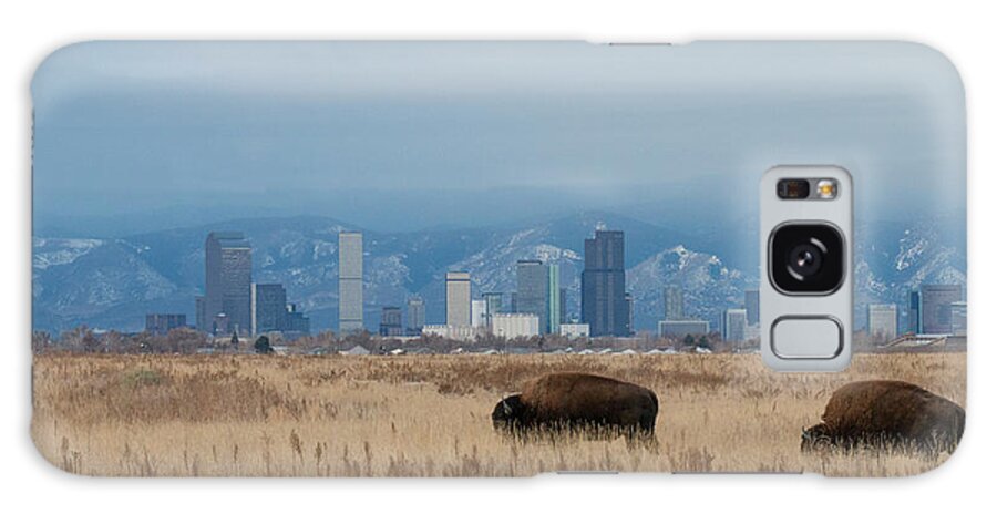 Bison Galaxy Case featuring the photograph Bison Graze with Denver Colorado in the Background by Tony Hake
