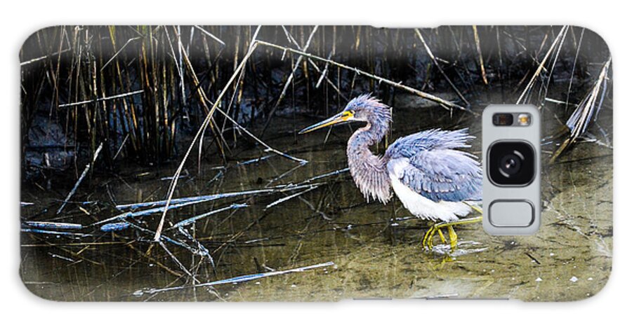 Beach Cottage Life Galaxy S8 Case featuring the photograph Bittern at Dusk by Mary Hahn Ward