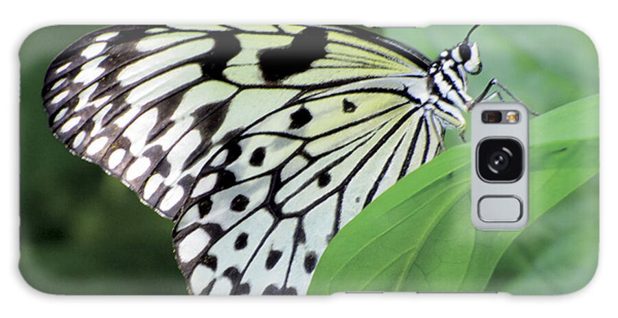 Butterfly Galaxy Case featuring the digital art Black and White Butterfly by Bob Slitzan