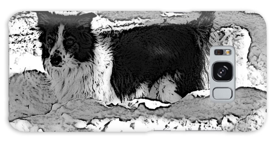 Dog Galaxy Case featuring the photograph Black and White in Snow by Michael Porchik