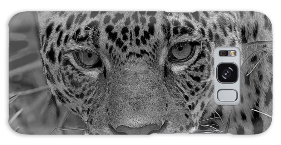 Jaguar Galaxy S8 Case featuring the photograph Black-and-white Jungle Cat by Larry Linton