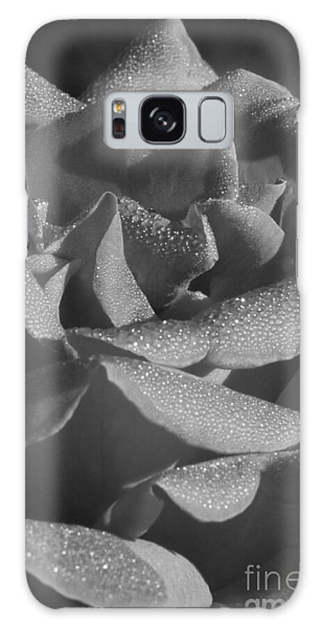 Black And White Galaxy S8 Case featuring the photograph Black and White morning rose by Jennifer E Doll