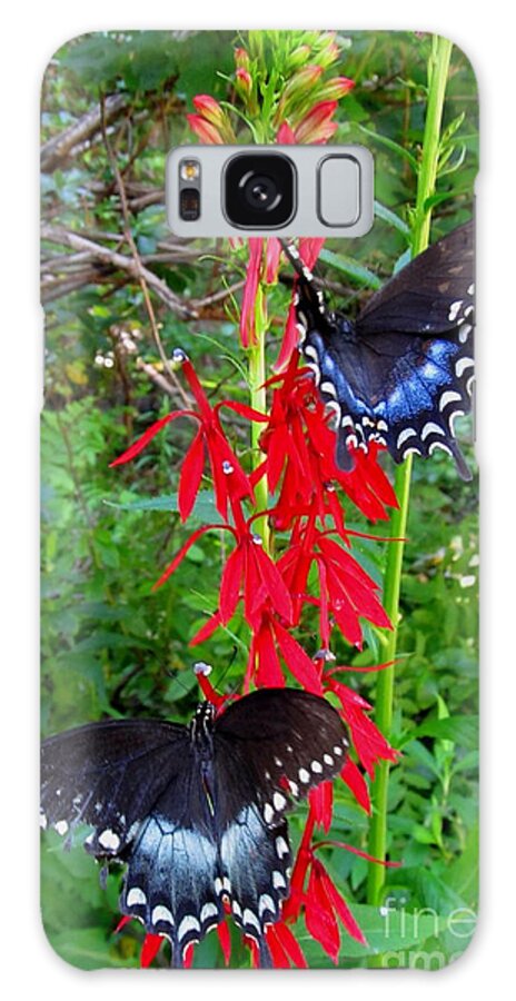 Black Butterfly Galaxy Case featuring the photograph Black Butterflies by Joshua Bales