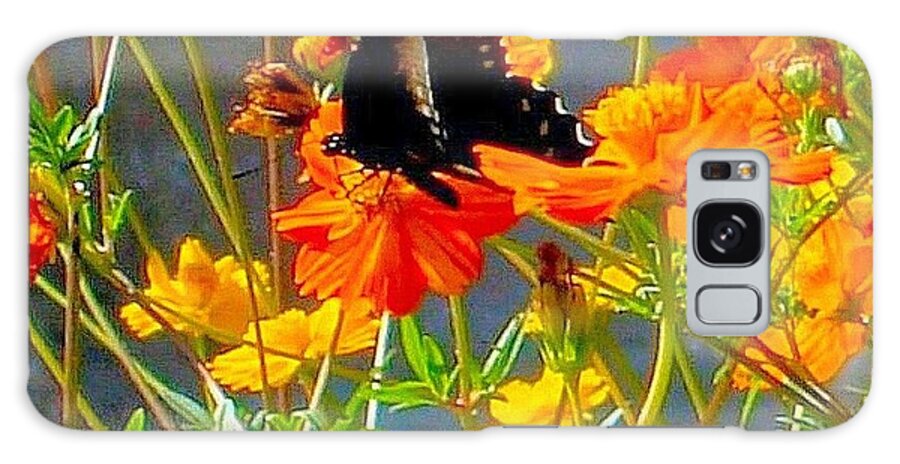 Butterfly Galaxy Case featuring the photograph Black Butterfly on Orange Wildflowers by Janette Boyd