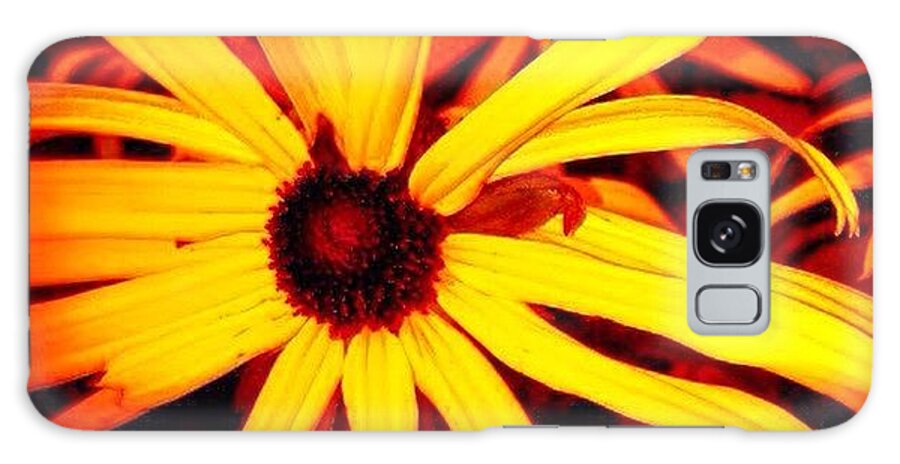 Beautiful Galaxy Case featuring the photograph Black Eyed Susan Flower by Cristina Stefan