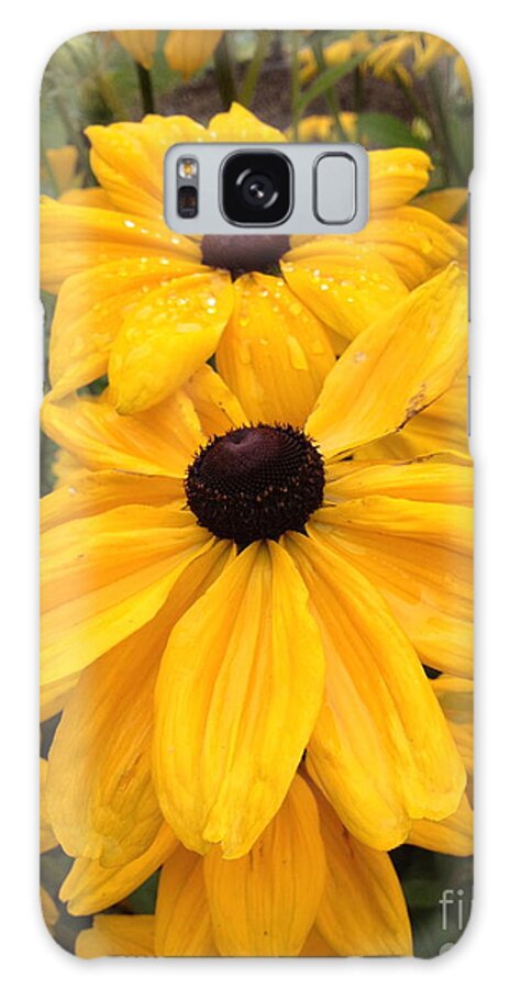 Flowers Galaxy Case featuring the photograph Black Eyed Susans by Barbara Von Pagel