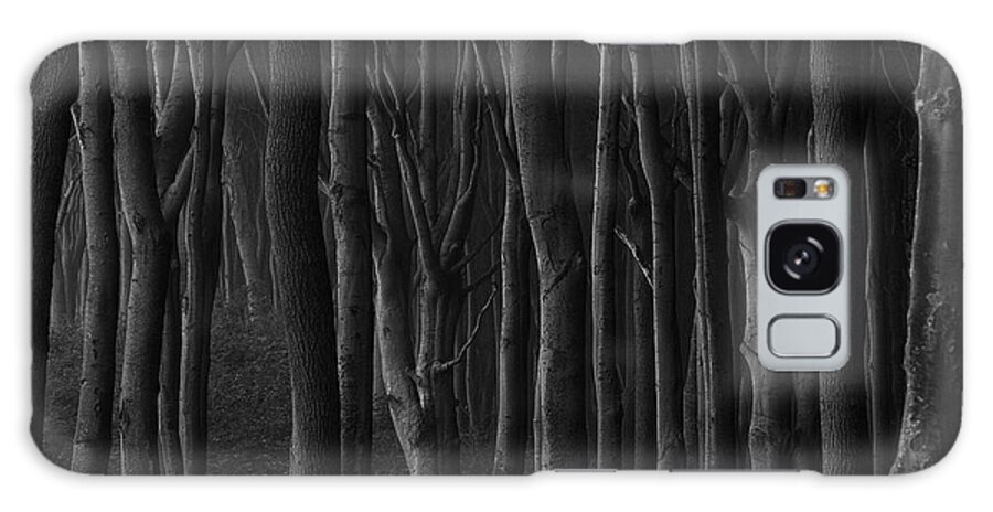 Trees Galaxy Case featuring the photograph Black Forest by Heiko Koehrer-Wagner