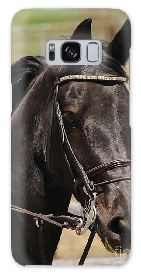 Horse Galaxy S8 Case featuring the photograph Black Mare Portrait by Janice Byer