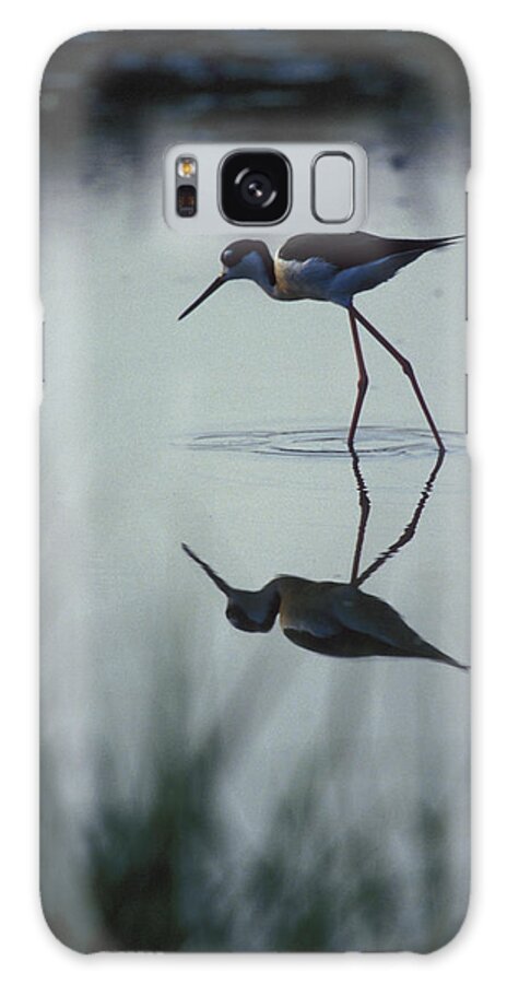Altamaha Galaxy Case featuring the photograph Black Necked Stilt by Peter Essick