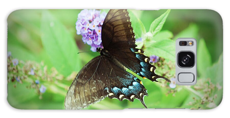 Butterfly Galaxy Case featuring the photograph Black Swallowtail by Michael Porchik