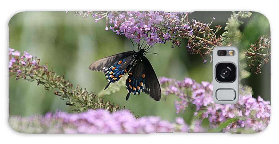 Sooc Galaxy S8 Case featuring the photograph Black Swallowtail1-Featured in Newbies-Nature Wildlife- Digital Veil-Comfortable Art Groups Groups by Ericamaxine Price