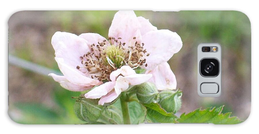  Galaxy Case featuring the photograph Blackberry Blossom by Belinda Lee