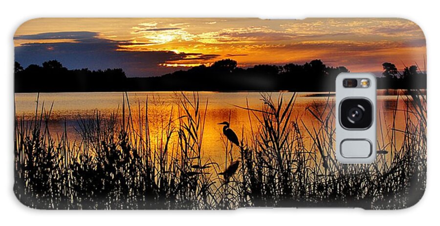 Sun Galaxy Case featuring the photograph Blackwater Morning by Bob Geary
