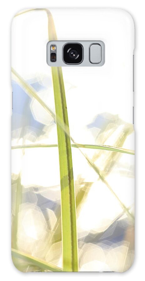Balance Galaxy Case featuring the photograph Blade of grass and glittering lake - available for licensing by Ulrich Kunst And Bettina Scheidulin