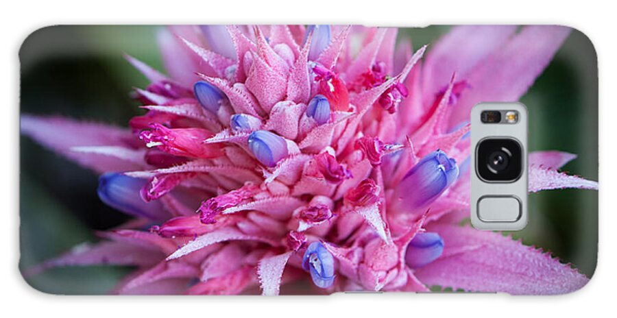 America Galaxy Case featuring the photograph Blooming Bromeliad by John Wadleigh