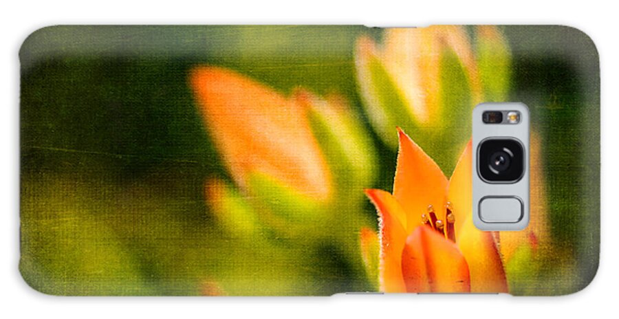 Nature Galaxy Case featuring the photograph Blooming Succulents III by Marco Oliveira